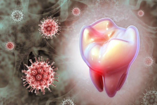 박테리아 또는 바이러스에 감염된 치아. 3d 일러스트레이션 - pathogen streptococcus life science 뉴스 사진 이미지