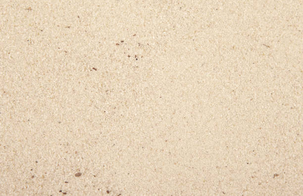 istock image of beach sand background 1405593910