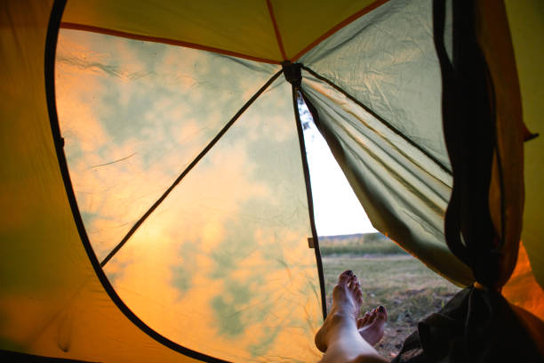 istock View from inside the tourist tent on a sunny day and nature. Active camping, environmental friendliness, adventure 1405595343