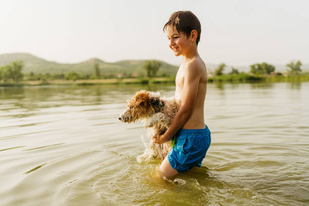 istock Summer day on the lake 1405595762