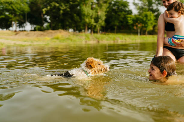 istock Enjoying together on the lake 1405595797