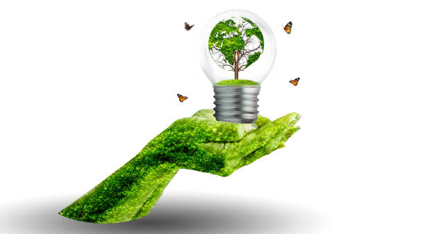 istock world shaped tree in light bulb concept of environmental conservation and protecting nature 1405595836