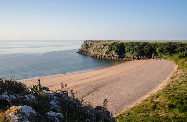 istock Barafundle Bay, Pembrokeshire, Wales 1405595868