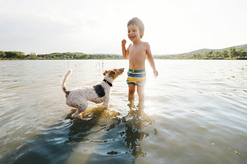 Photo of a little boy and his dog spending a summer day on the lake.