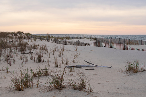 Sand dunes at Sunrise, Cape May, New Jersey, USA