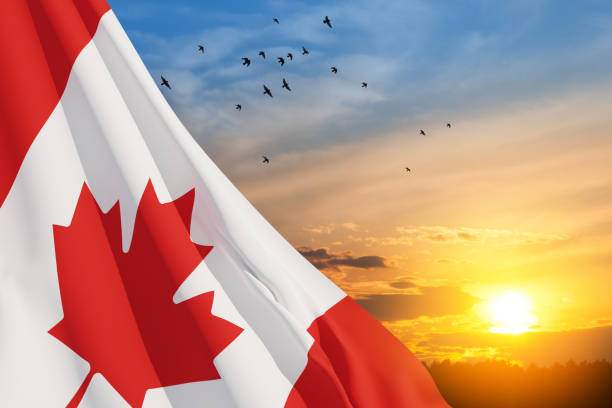 Canada national flag waving on sunset sky. Canada national flag waving on sunset sky with flying birds. Canada day. 3d-rendering. canada flag blue sky clouds stock pictures, royalty-free photos & images