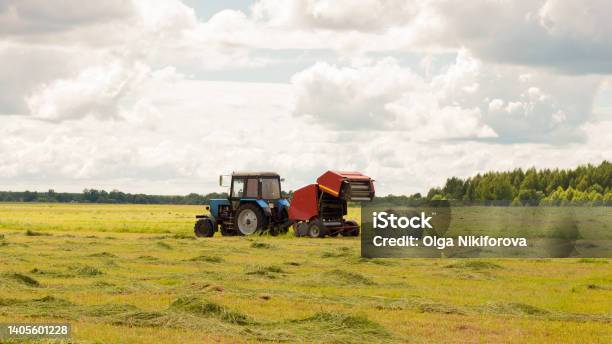 Harvesting Of Agricultural Feed In The Field Stock Photo - Download Image Now - Hay Baler, Bale, Machinery