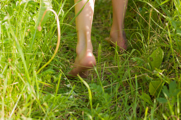 istock Legs running on the green grass. 1405601583