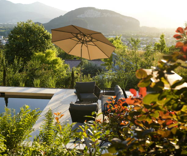 istock View of a lush garden with a pool terrace 1405602678