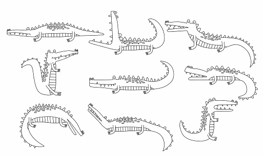 crocodile animal vector line set.