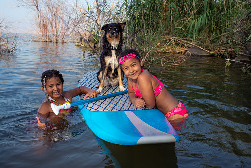 Cute little girls leaning on a surfboard, looking at the camera with smiles. Happy friends and dog having fun with stand-up paddleboard (SUP) on vacation in the lake. The dog is mixed-breed Husky and Australian shepherd. Children are wearing swimming wear and goggles. Active children and water sports. Paddleboarding on summer vacation time.