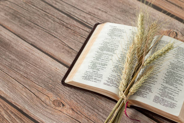 istock Ripe spring barley and an open Holy Bible Book on a rustic wooden table 1405608796