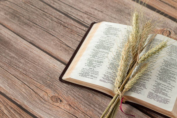 Ripe spring barley and an open Holy Bible Book on a rustic wooden table Ripe spring barley and an open Holy Bible Book on a rustic wooden table. Copy space. Wave sheaf offering, Christian Pentecost (Feast of Weeks), biblical harvest by God Jesus Christ concept. pentecost religious celebration photos stock pictures, royalty-free photos & images