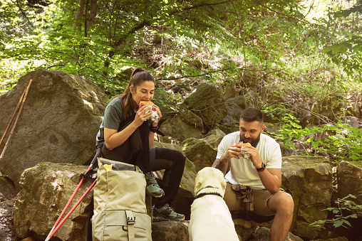 Young hikers couple sitting on the rocks on the mountain woods eating a sandwiches at break while their dog watch them. Nature lovers hiking through the forest eating lunch.
