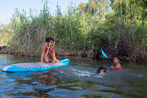 An excited, slightly frightened girl waves an oar because of a swimming dog. Her friend sitting on a standing-up paddleboard (SUP), watching and looking at what's going on. Active children and water sports. Paddleboarding on summer vacation time.