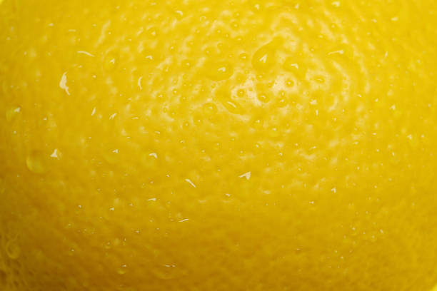 istock Peel of lemon on whole background, close up 1405609304