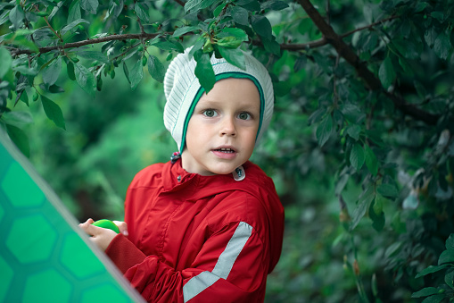 Caucasian child a boy with green eyes in a red raincoat stands under a tree after the rain, holding a green umbrella in his hands.