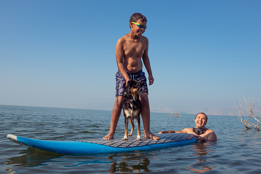 Happy son, father, and their dog spending time together, having fun outdoors on the lake beach with a stand-up paddleboard. The handsome surfer boy with the dog standing on a surfboard. The man swimming and pushing them forward. Active family and water sports. Bonding father and son paddleboarding on summer vacation time.