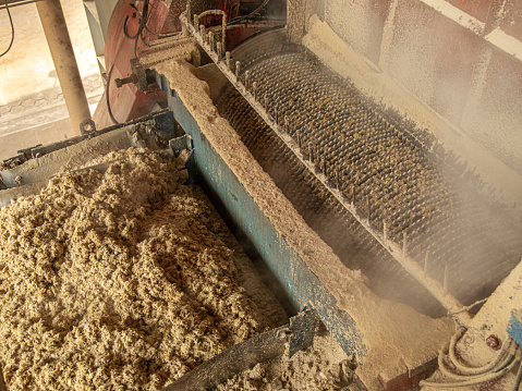 mill processing sugar cane industry