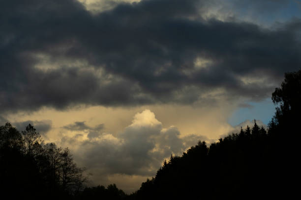 istock Beautiful cloud in sky. Celestial landscape above forest. 1405613575