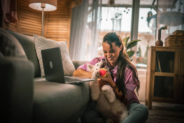 istock Young woman working from home with her dog 1405614416