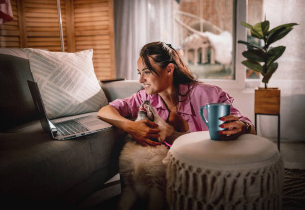 istock Young woman working from home with her dog 1405614504