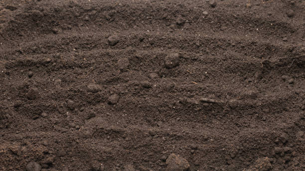 istock Black land for plant background. Top view. 1405616099