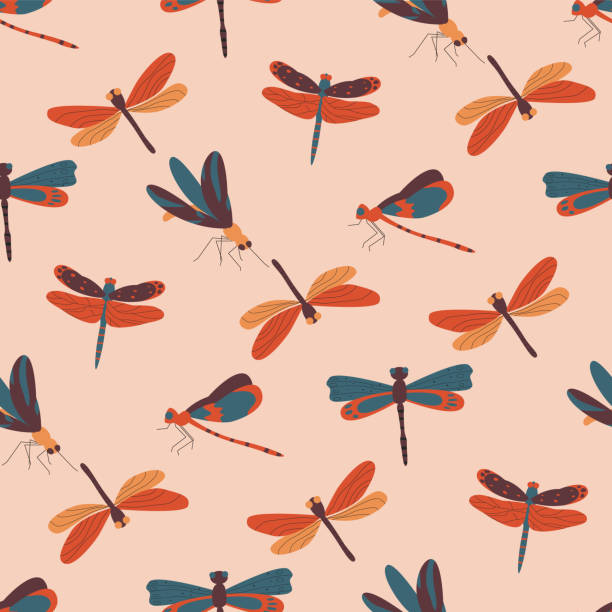 Beautiful dragonflies with colorful wings seamless pattern. Flat vector illustration Beautiful dragonflies with colorful wings seamless pattern. Flat vector illustration. simple butterfly outline pictures stock illustrations