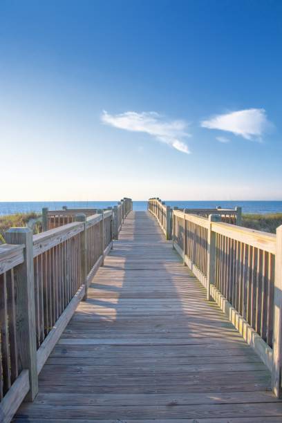 istock Boardwalk to the beach-Myrtle Beach, South Carolina 1405617067