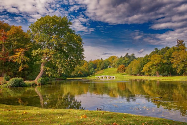 istock Painshill Park Cobham Surrey 1405617594