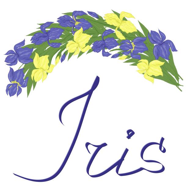 illustrazioni stock, clip art, cartoni animati e icone di tendenza di iris fiori opera d'arte decorativa con scritte - iris ink and brush sign flower