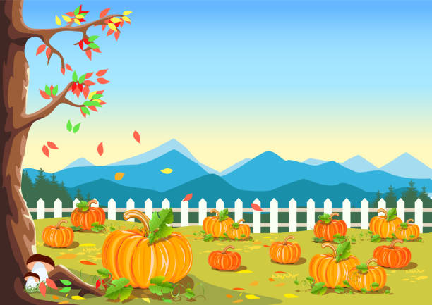 펌프킨 수확하다 - farm pumpkin autumn farmer stock illustrations