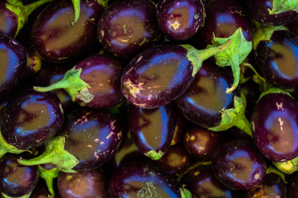 fresh  eggplant on white background