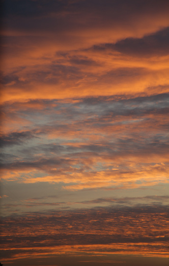 Cumulus clouds illuminated by the setting sun