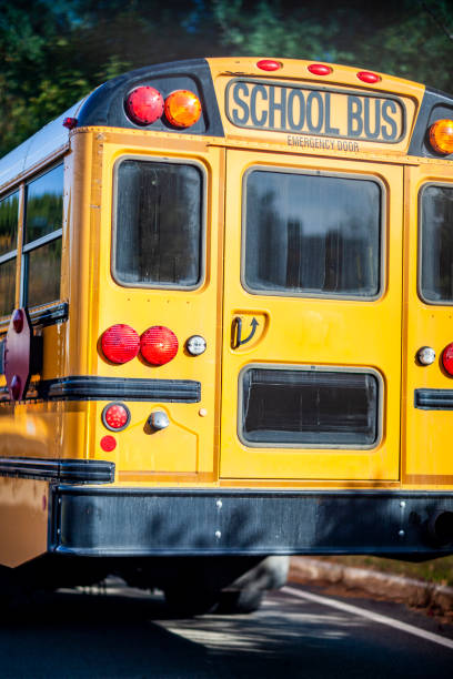 istock Back of a yellow American school bus 1405623312