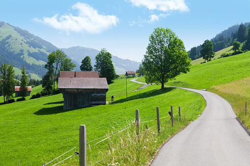 Country road in Swiss Alps on a sunny summer day