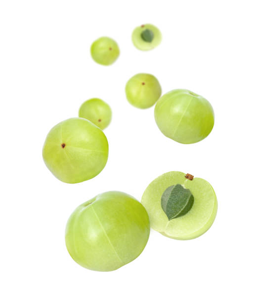istock Indian gooseberry fruit (amla emblica) flying in the air isolated on white background 1405623488