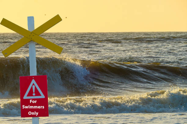 istock Sign in Front of Waves For Swimmers only 1405625901