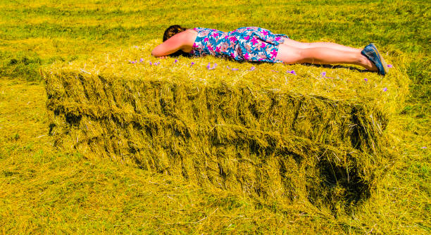 Woman with Sunburn sleeps in Sun stock photo