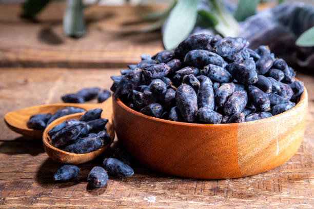 istock Bowl with fresh  haskap berry 1405626828