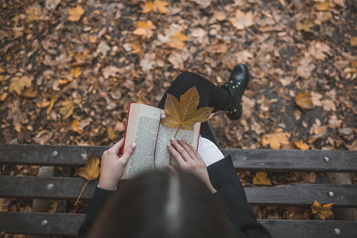 A young woman, who is a book lover, spends a rainy autumn day in the park