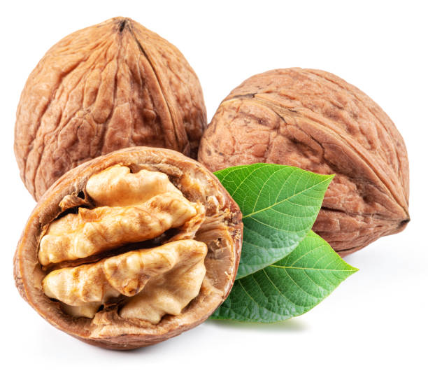 istock Walnuts, walnut kernel and green leaves isolated on white background. 1405627620