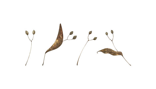 istock Set of watercolor hand drawn colored fall branch on white background isolated. 1405628369