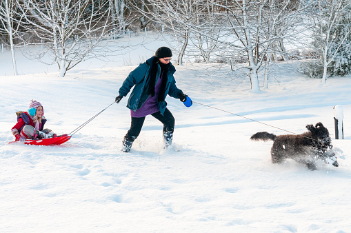 Black dog leading mother with daughter sledging behind through deep snow in a rural setting