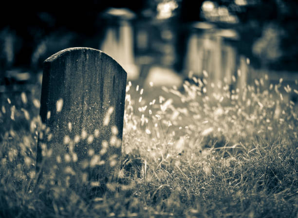istock Old headstone covered in grass in a graveyard 1405629365