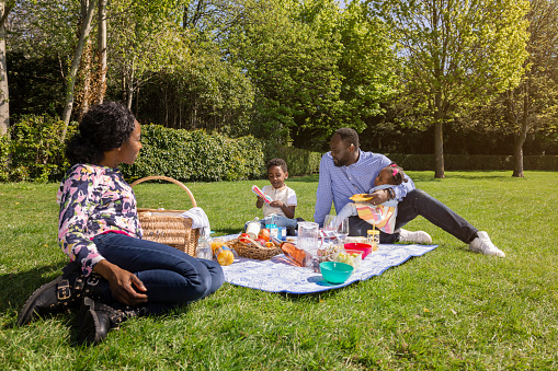 Wide view of a family including wife, husband, son and daughter in a public park on a sunny day. Families having a picnic all wearing casual clothing.