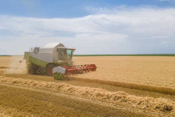 istock Combine harvester working at the field 1405631149