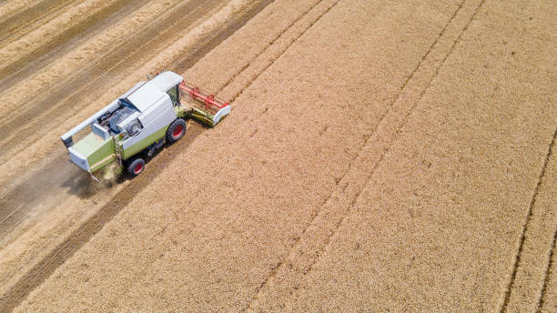 istock Aerial view of combine harvester 1405631588
