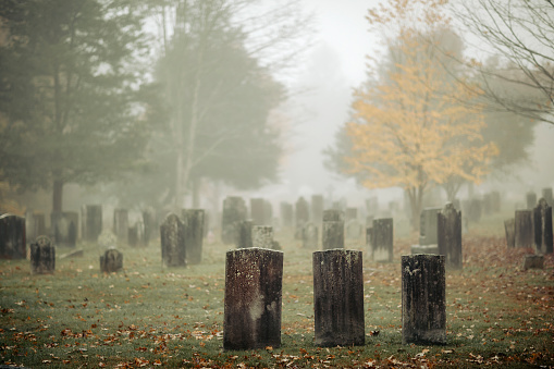 Three gravestones standing in a foggy graveyard during the fall