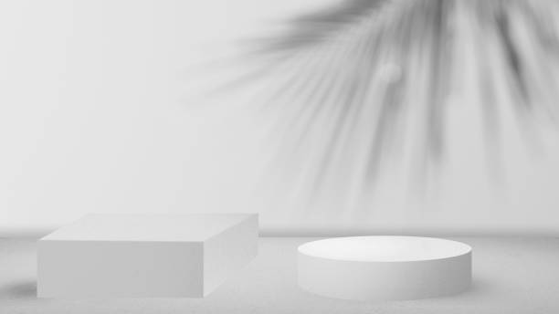 istock Shadows leaves overlay on backgrounds and frame mock up 1405633253